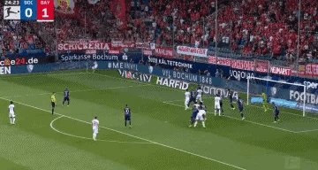 1661106947989012006.gif 2.gif